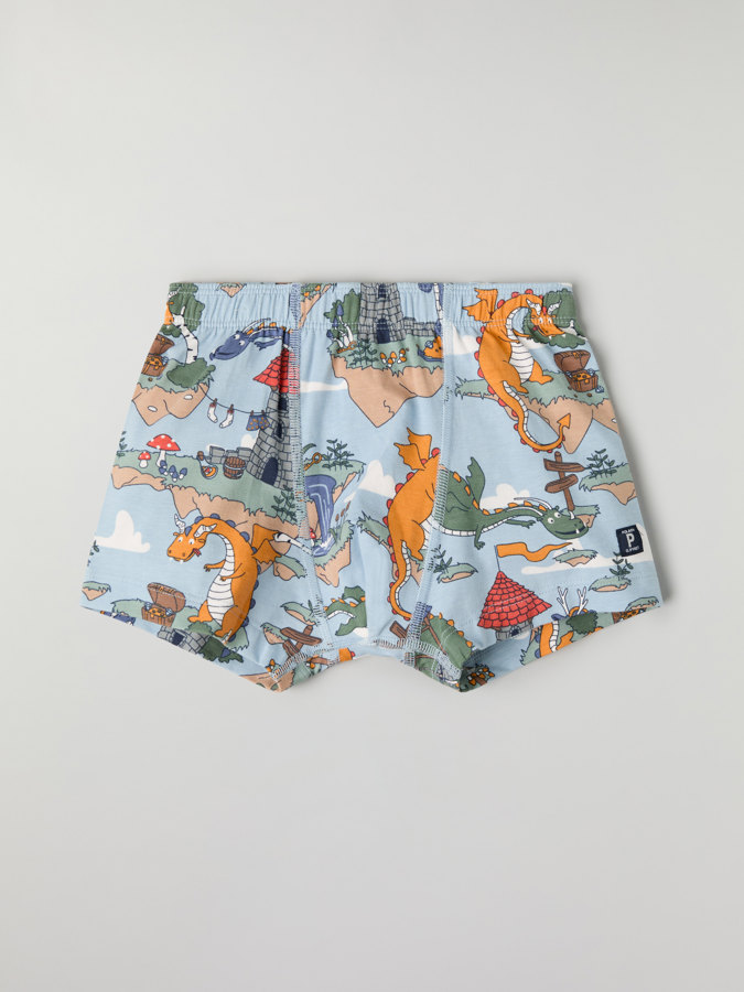 Boxershorts, Drachenmotiv