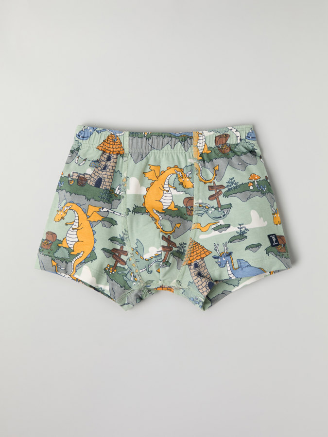 Boxershorts, Drachenmotiv